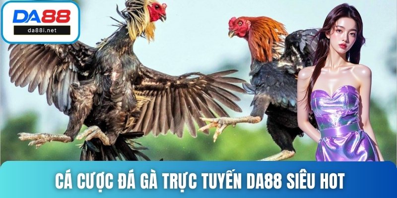 Cá cược đá gà trực tuyến DA88 siêu hot