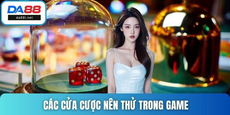 Chi tiết các cửa cược nên thử trong loại hình game