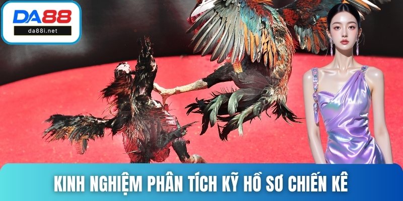 Kinh nghiệm phân tích kỹ hồ sơ chiến kê để cược thắng