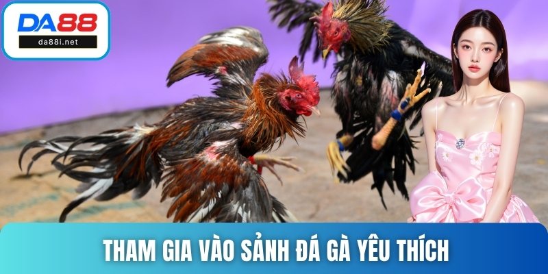 Tham gia vào sảnh đá gà yêu thích