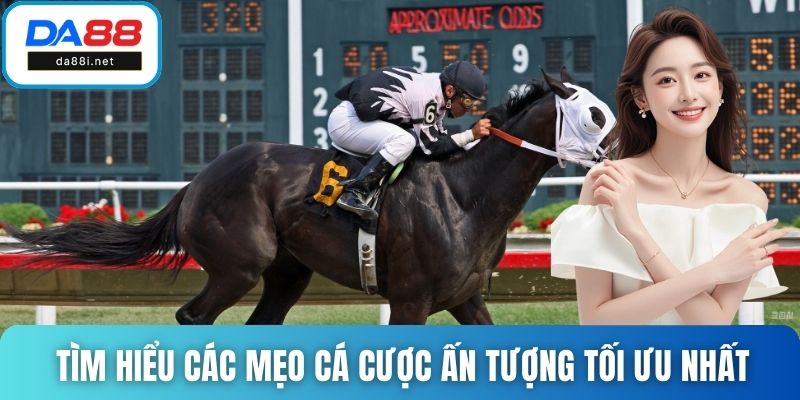 Tìm hiểu các mẹo cá cược ấn tượng tối ưu nhất