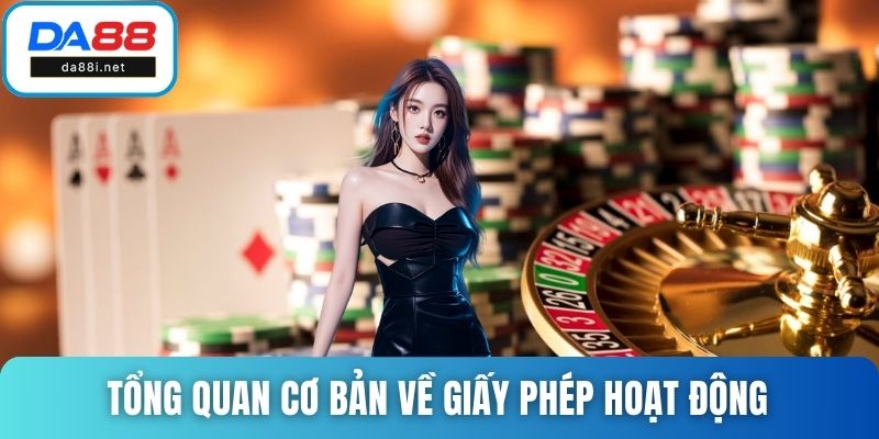 Tổng quan cơ bản về giấy phép hoạt động